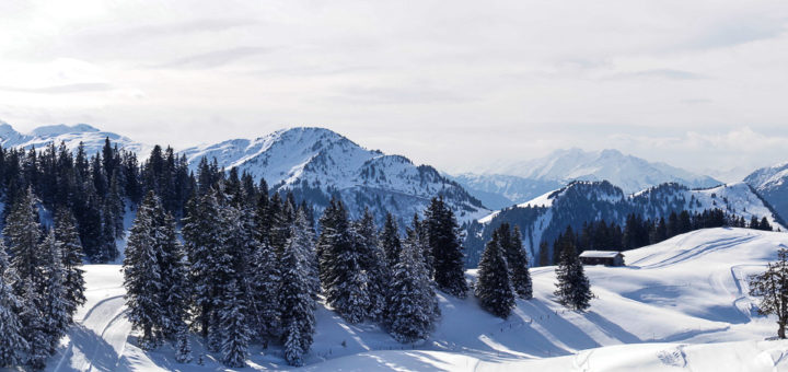 Alpen