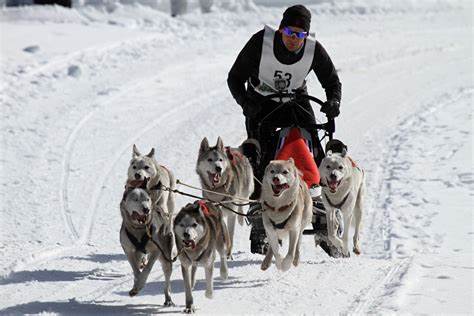 Musher