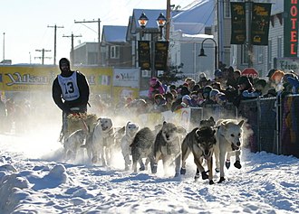 Schlittenhunderennen